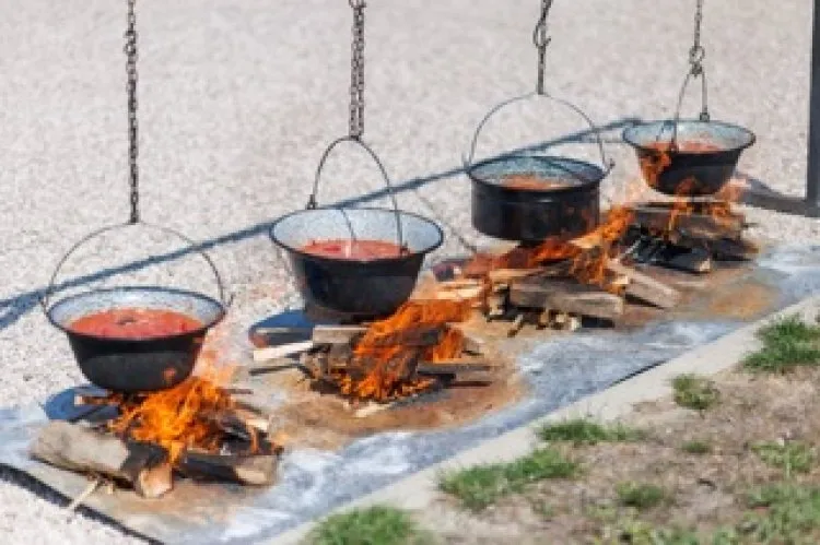 baranja image