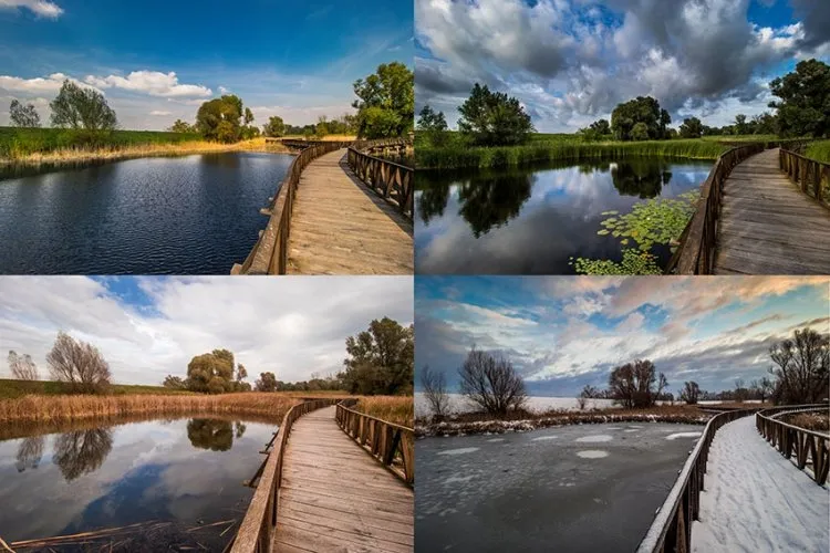 Nature park Kopački rit