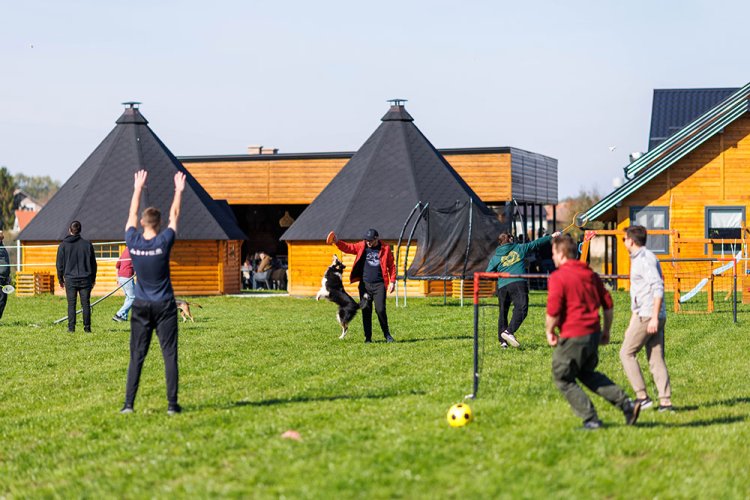 Zašto je 'Drvena bajka' idealna destinacija za korporativne evente i team building u prirodi