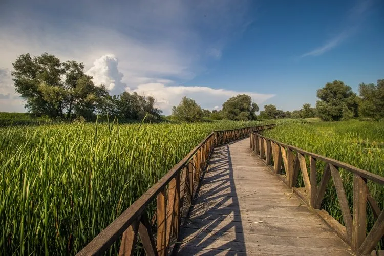 Ruralni turizam u Baranji: autentičan doživljaj Slavonije