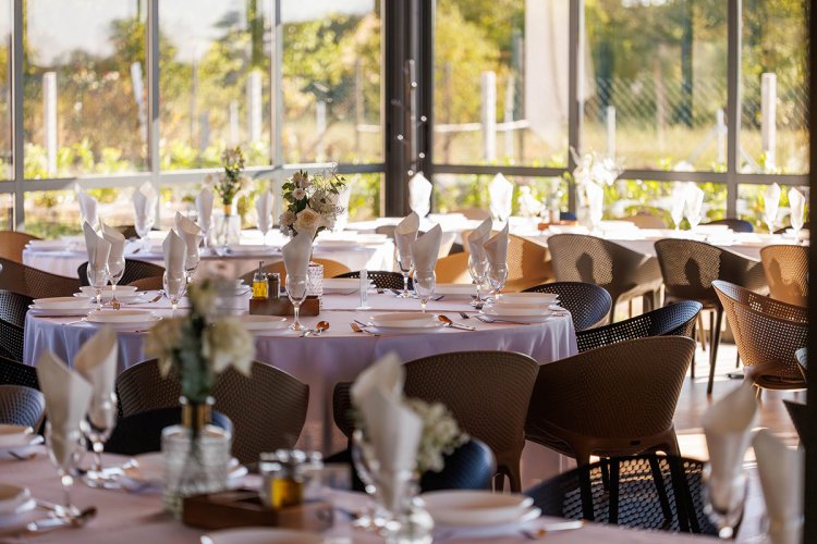 Vjenčanja u prirodi u Baranji: idealne lokacije u Slavoniji